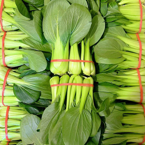 Qingjiang Sweet Pak Choi Seeds, 20g