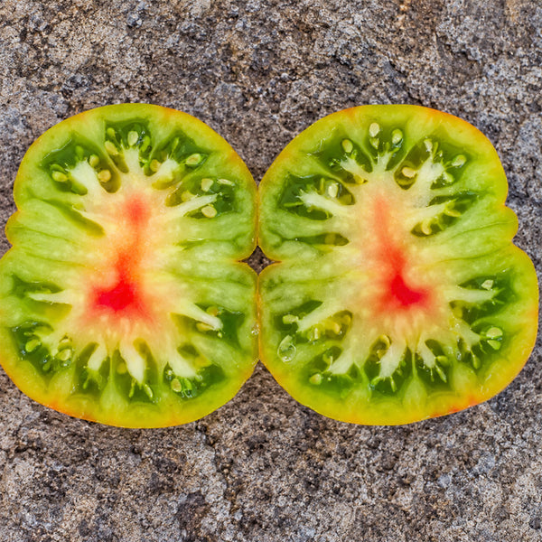174 Aftershock Dwarf Tomato, 5 Seeds