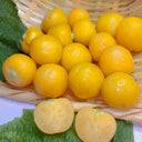 Ground cherry Seeds, 5g