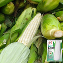 White Sweet Glutinous Corn Seeds