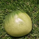 1079 Moldovan Green Heart Tomato, 5 Seeds