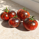 437 Blue Flame Tomato, 5 Seeds