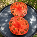 92 Dwarf Sahak Donut Tomato, 5 Seeds