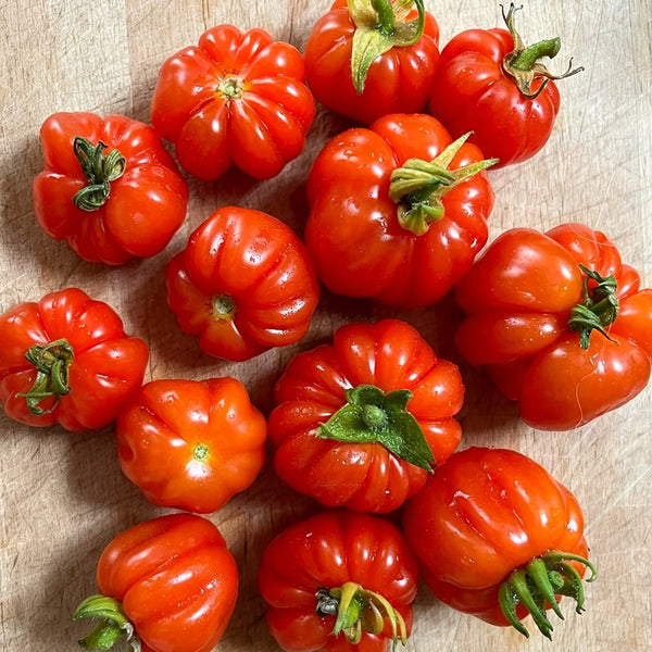 Accordion Cherry Tomato, 5 Seeds