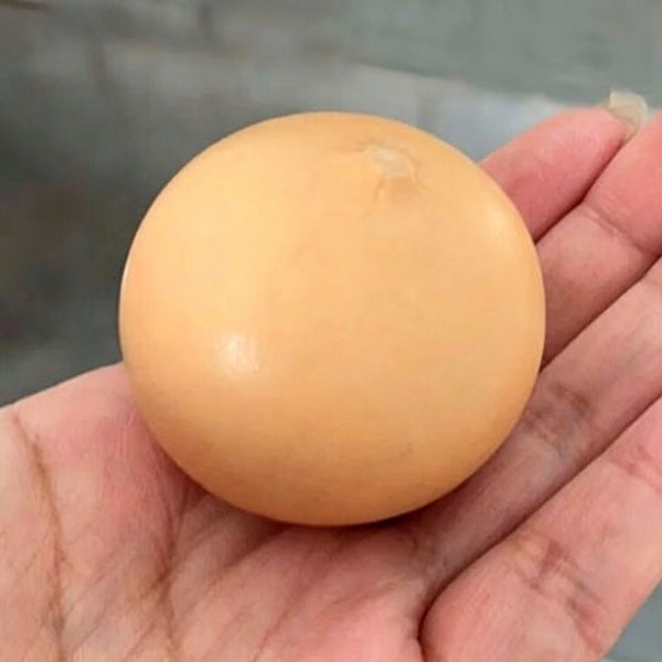 Egg Gourd, 10 Seeds