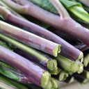 Red-Stemmed Chinese Kale Seeds, 10g