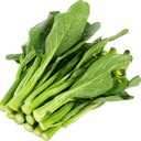 Guangdong Sijiu Choy Sum Seeds, 20g