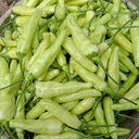 Pickling Pepper Seeds, 0.5g