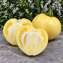 508 Reinhard's White Heart Tomato, 5 Seeds