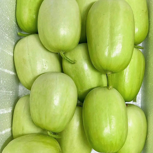 Yuanbao Fruit Cucumber, 5 Seeds