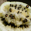 Large-seeded Watermelon Seeds,  20g