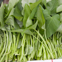 Thai Large Leaf Water Spinach Seeds, 10g