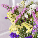Cut Flower Forget-me-not, 30 Seeds