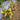 87 Sart Roloise Tomato, 5 Seeds