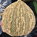 Fushun Ribbed Ugly Pumpkin, 10 Seeds