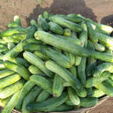 Yanbai No.3 Cucumber Seeds, 10g