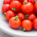 Dwarf Trailing Cherry Tomato 'Tumbling Tom Red', 20-30 Seeds