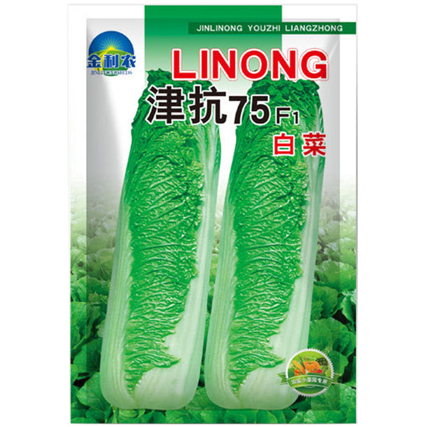 Jinkang 75 Chinese Cabbage Seeds, 5 × 5g Bags