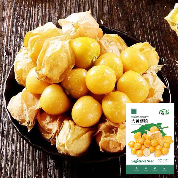 Ground cherry Seeds, 5g