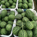 'Super Sweet 2K' Watermelon Seeds, 10 Seeds