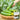 Dutch Pickling Cucumber Seeds, 20 Seeds