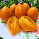 549 Nut Plum F4 Tomato, 5 Seeds