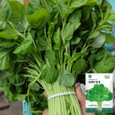 Green Round Leaf Amaranth Seeds, 10g