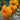 Jason 18/1 Striped Tomato, 5 Seeds