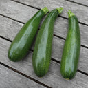 Summit Zucchini Seeds, 10g