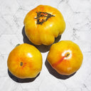 97 Honey Giant Tomato, 5 Seeds