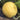 'Jinling 03 Golden' Round Watermelon Seeds, 200 Seeds