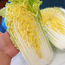 Quanfu Baby Cabbage Seeds, 5 × 5g Bags