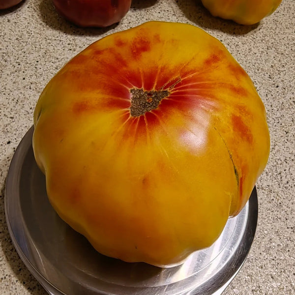 Cocktail Fruit Tomato, 20 Seeds