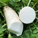 Summer-Autumn White Jade Radish Seeds, 5g