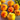 743 Pineapple King Tomato, 5 Seeds