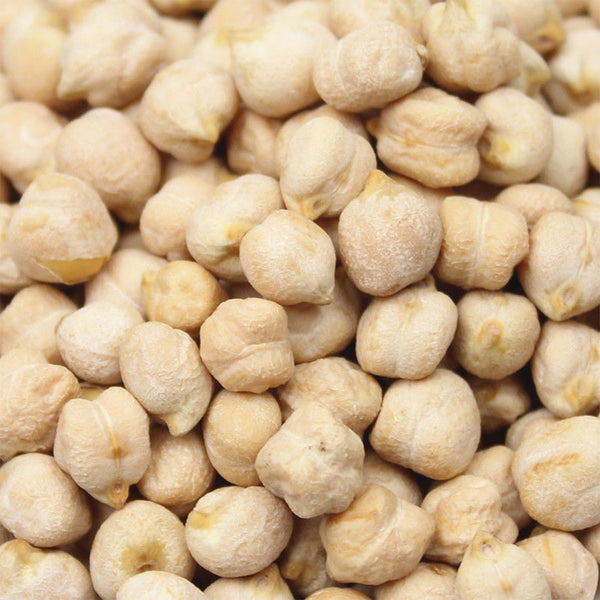 Kabuli Chickpea Seeds, 20g