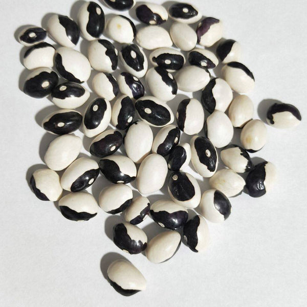 'Rabbit's White Eye' Oil Bean, 50 Seeds