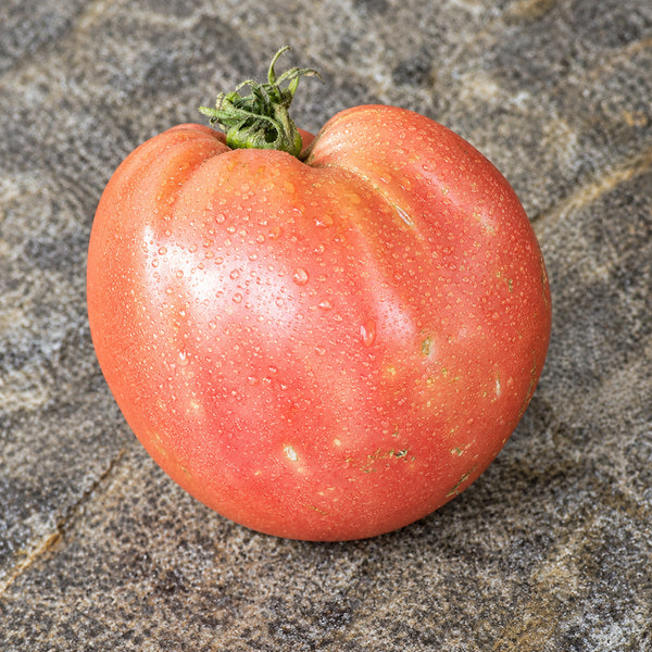 81 Mazarini Tomato, 5 Seeds