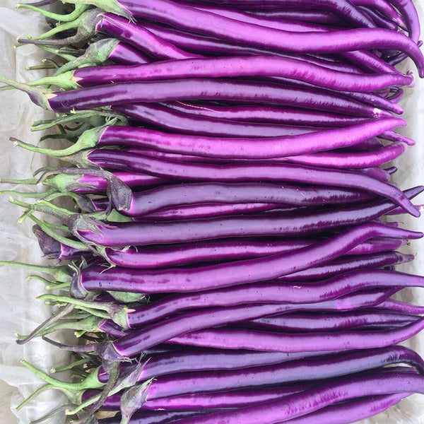 Hangzhou Red Eggplant Seeds, 10g