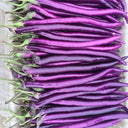 Hangzhou Red Eggplant Seeds, 10g