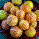 Queen Anne's Pocket Melon, 20 Seeds