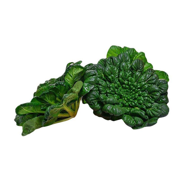 Flat Cabbage Seeds, 10g