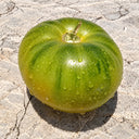 289 Ivanovsky Green Tomato, 5 Seeds