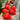 Four Seasons Cream Strawberry, 200 Seeds