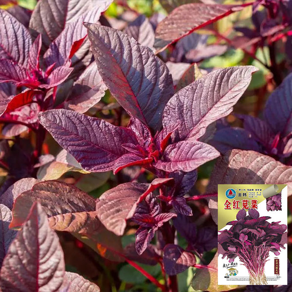 Red Amaranth Seeds, 50g