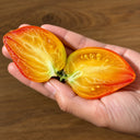 458 Marina's Praise Tomato, 5 Seeds