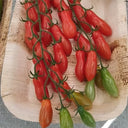 846 Sweet F6 Tomato, 3 Seeds