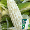 Huanuo No.2 Waxy Corn Seeds, 200g