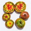 489 Jarson 1 Tricolor Tomato, 5 Seeds