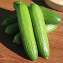 'Hemei 198' Mini Cucumber, 50 Seeds